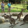20070628_singapore_bintan_141